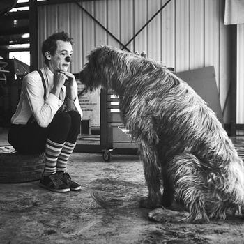 Mr Gluck Adventures Bonus