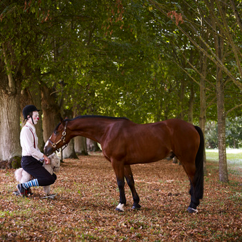 Mr Gluck Adventures Bonus