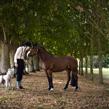 Mr Gluck Adventures Bonus