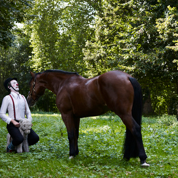 Mr Gluck Adventures Bonus