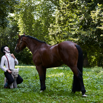 Mr Gluck Adventures Bonus