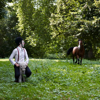 Mr Gluck Adventures Bonus