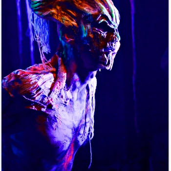 Project creation caractere by Olivier Bonnet - 2017 / 2018